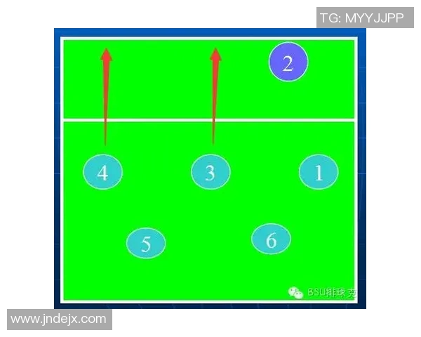 武汉排球队控制打法深度分析与战术解读探讨