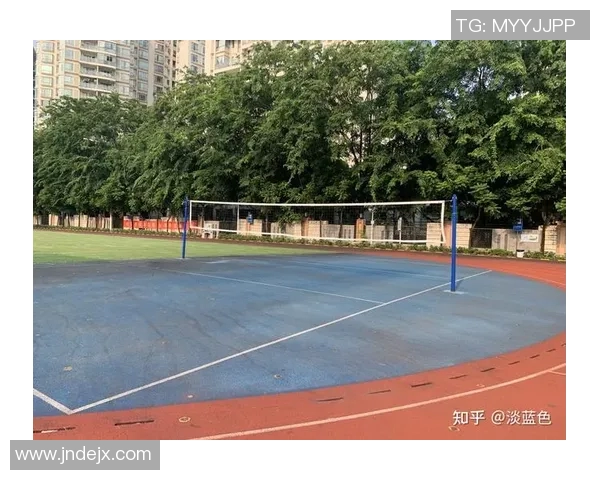 深圳排球队技术揭秘：从基础训练到战术运用的全景分析